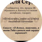 Салтанат Е.