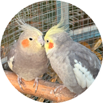 Анастасия Г.