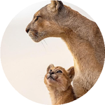 Сандугаш А.