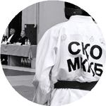 Наурызбай К.