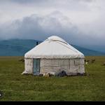 Айгуль Т.