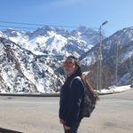 ИП VENERA TRAVEL AND VISAS
