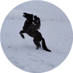 Болат А.