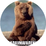 Владимир П.