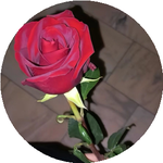 Сандугаш С.