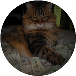 Анастасия К.