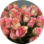 Несібелі Ә.