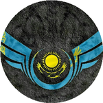 Амир Т.
