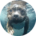 Владимир Р.