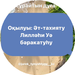 Ильмира И.