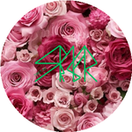 Алмагуль С.