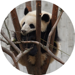 Екатерина Н.