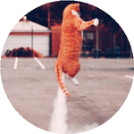 Гүлдәурен Б.