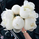 Бибигуль У.