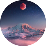 Нұрсұлтан Ш.