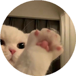 Азиза Е.