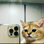 Адхамжан Э.