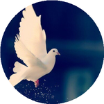 Мейрамгуль И.