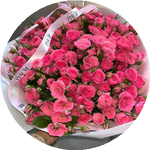 Махаббат Т.