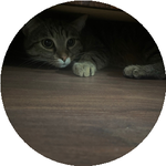 Александр Г.