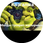 Жаныбек О.