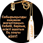 Эльмира Т.