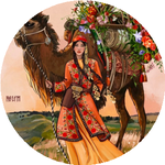 Айнур З.