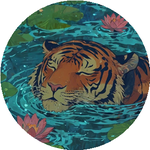 Анастасия И.