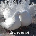 Жанна З.