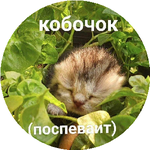 Серікболат Ж.