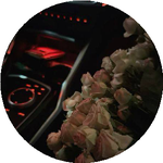 Гулназым У.