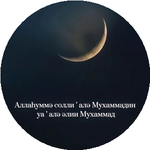 Мадина Р.