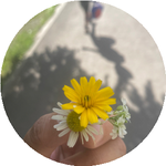 Балдырған Ж.