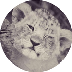 Садридин Х.