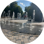 Алина Б.