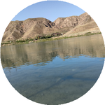 Гульвархан Р.