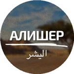 Алишер Д.