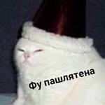 Жеңіс Ж.