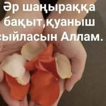 Айман Н.