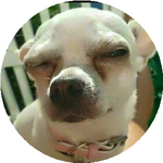 Александр З.