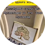 Нұрзинат А.