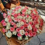Наталья Р.