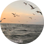 Екатерина М.