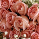 Алтынгуль И.