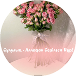 Ұлжан О.