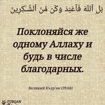 Ольга П.