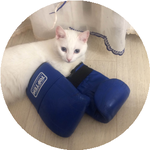 Нурсултан Н.