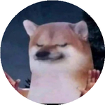 Темірлан Д.