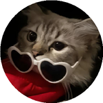 Сымбат Ә.