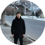 Бибарыс Д.